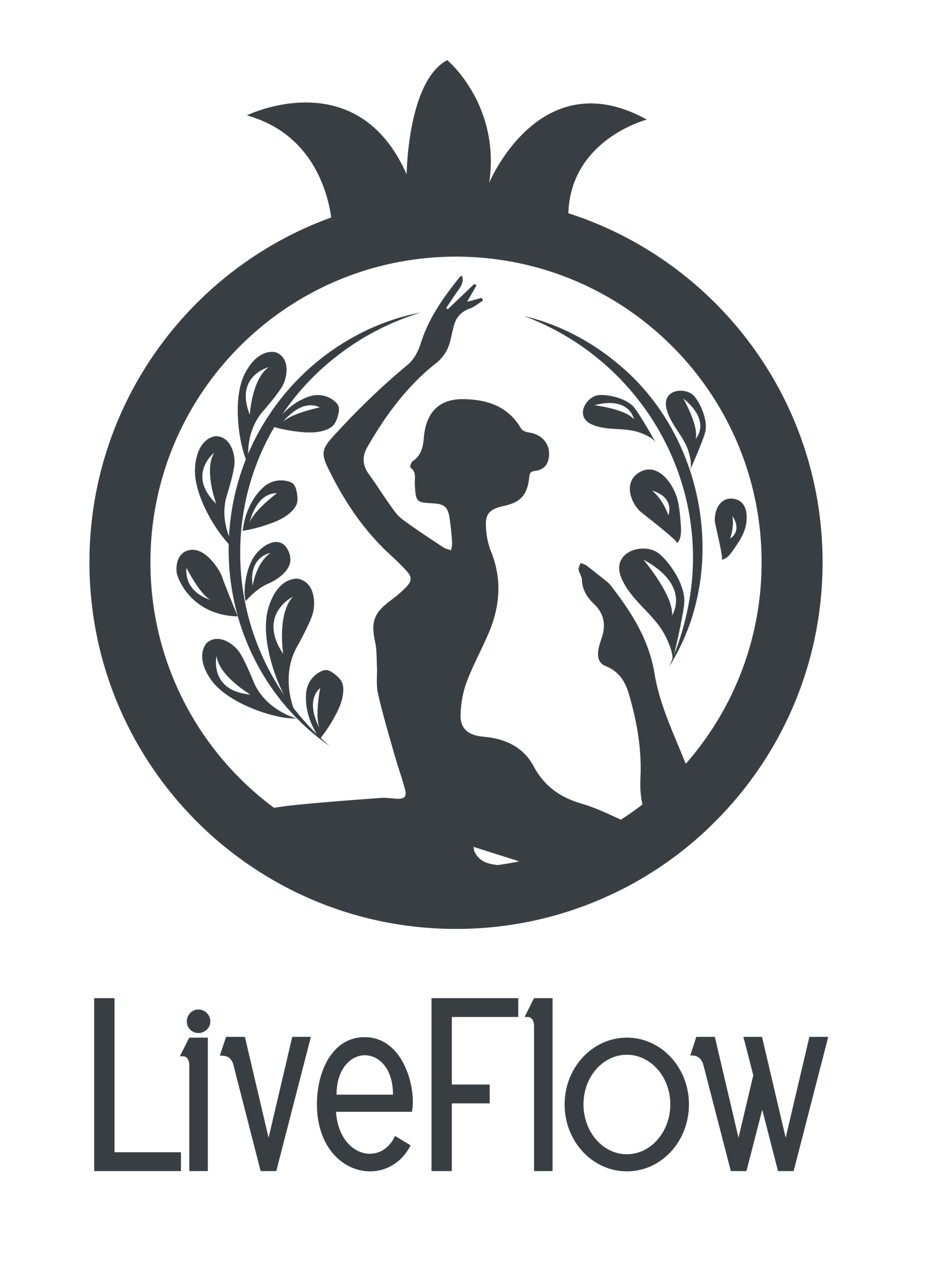 livflow.graphicdop.com